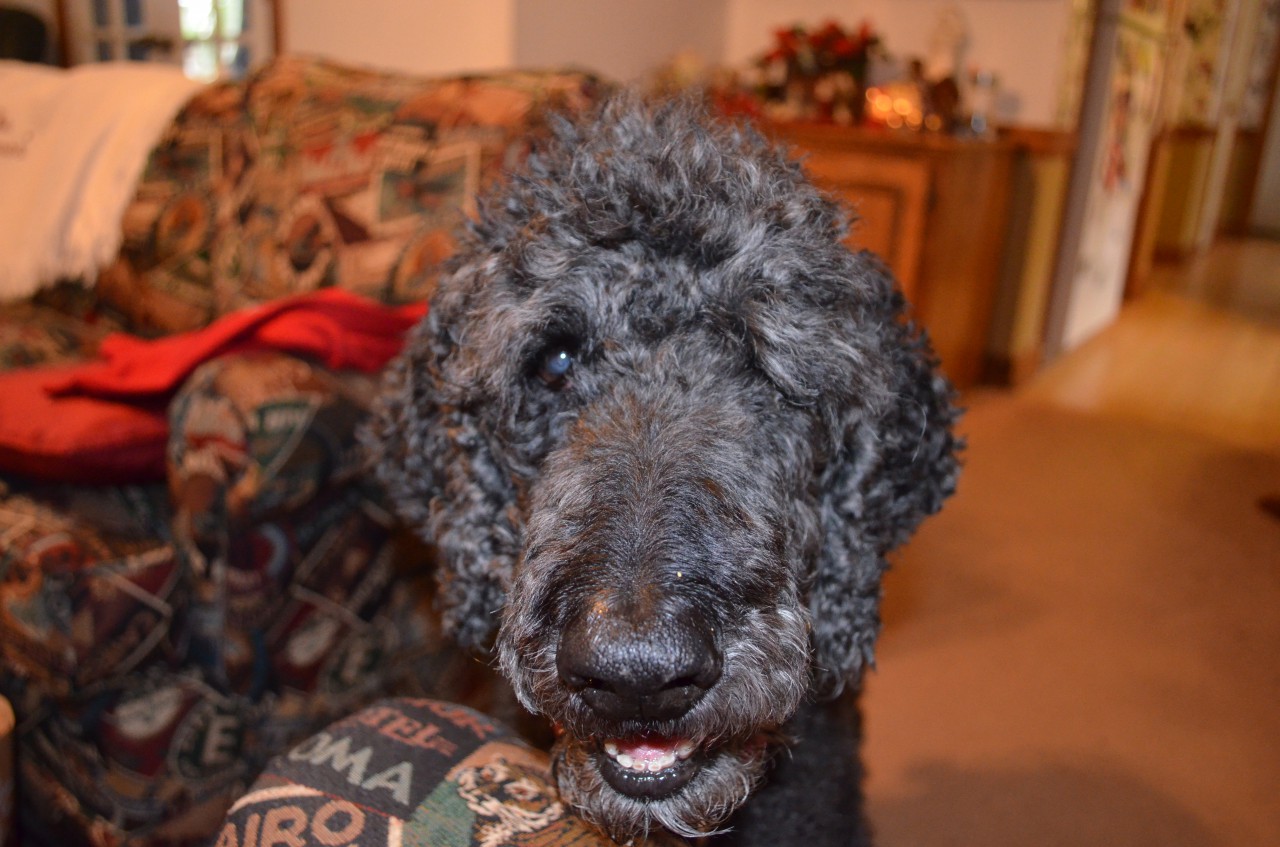 DSC_0118.JPG