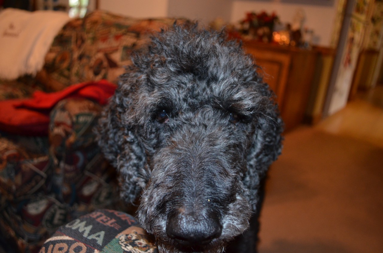 DSC_0119.JPG
