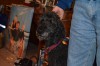 DSC_0015.JPG