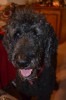 DSC_0016.JPG