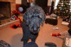 DSC_0062.JPG