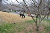 DSC_0073.JPG