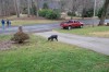 DSC_0077.JPG