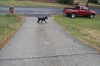 DSC_0096.JPG