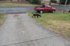DSC_0097.JPG