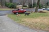 DSC_0098.JPG