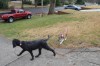 DSC_0099.JPG