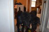DSC_0107.JPG