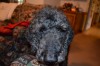 DSC_0119.JPG