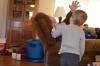 Filename=DSC_0203.JPG
Filesize=177KiB
Dimensions=1280x847
Date added=Jan 24, 2016 DSC_0203.JPG