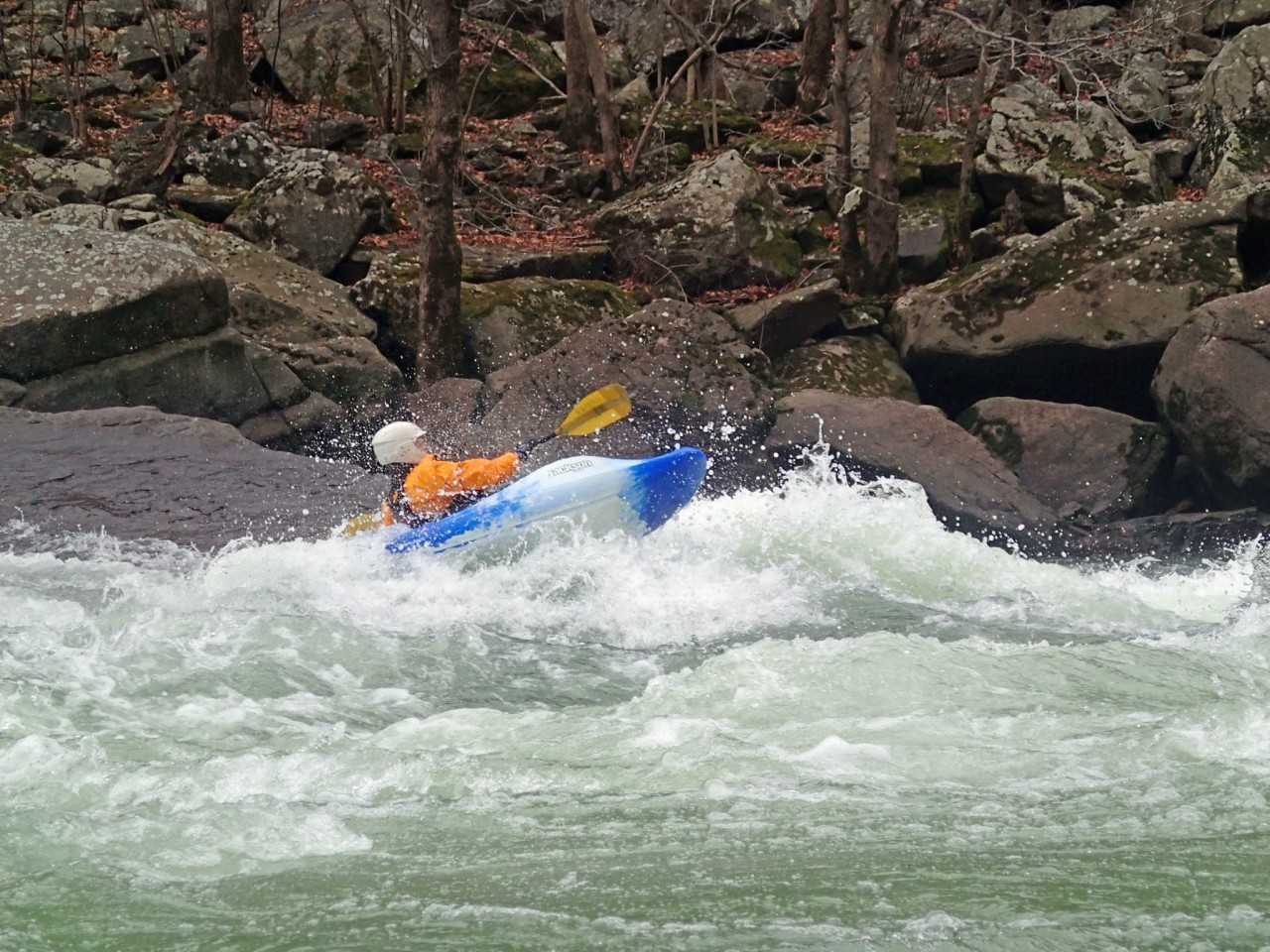 703537_3995604059529_1290558243_o.jpg