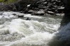 981015_5000733177838_1890304915_o.jpg