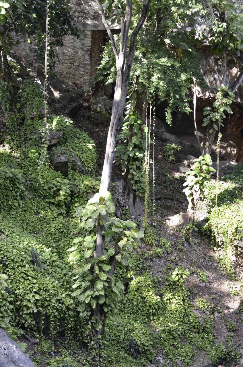 201802071725-00081-Cenote_Zaci.jpg