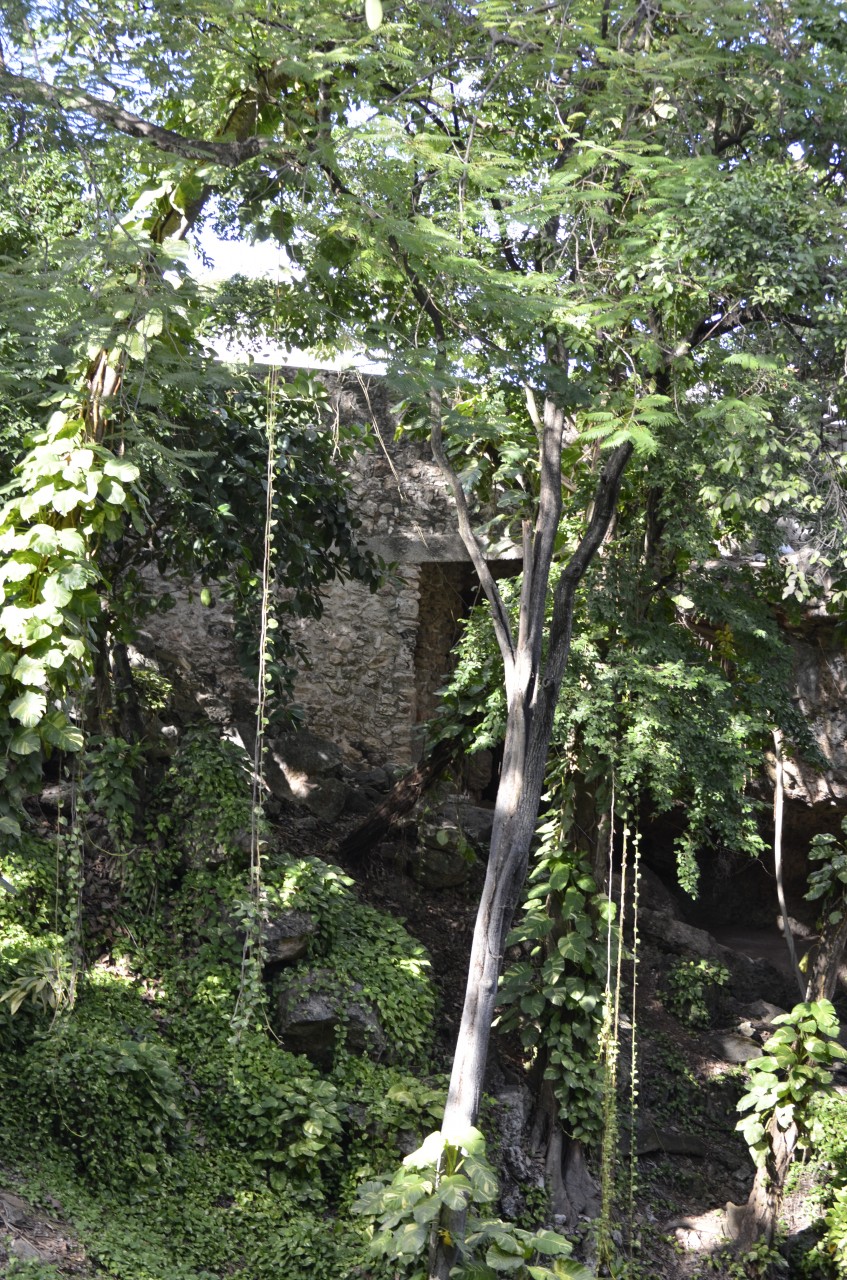 201802071725-00082-Cenote_Zaci.jpg