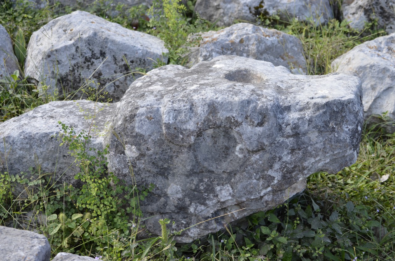201802081122-00217-Marnie.jpg