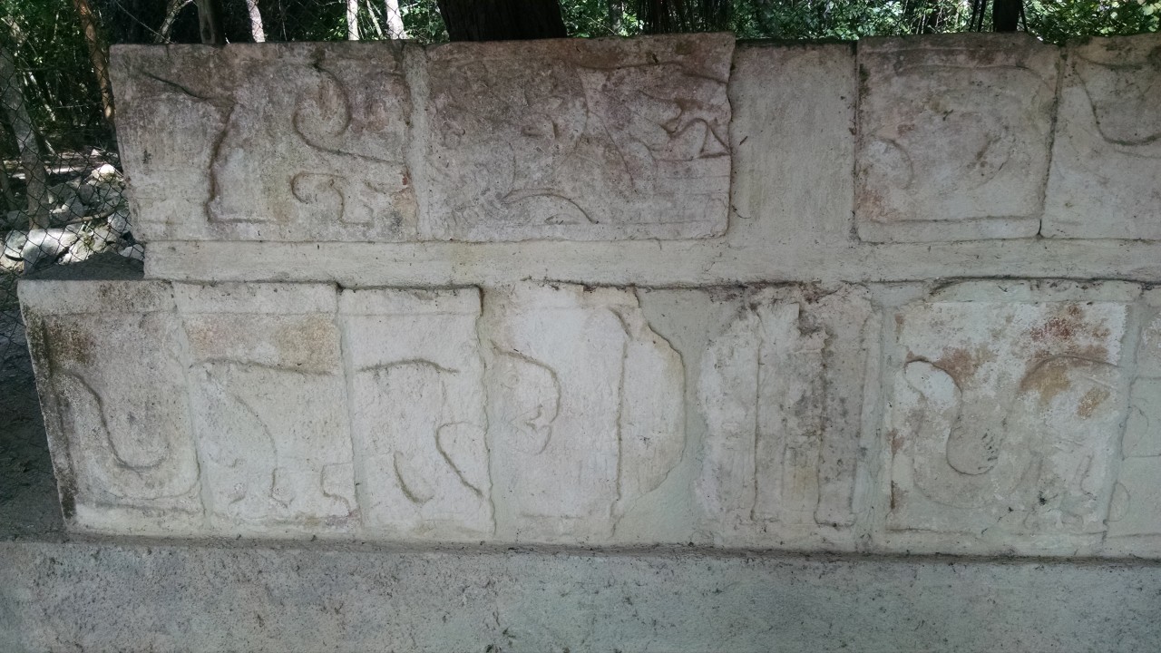 201802081137-00383-IMG.jpg