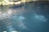 Filename=201802071712-00073-Cenote_Zaci.jpg
Filesize=273KiB
Dimensions=1280x847
Date added=Mar 30, 2021 201802071712-00073-Cenote_Zaci.jpg
