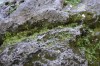 Filename=201802071717-00075-Cenote_Zaci.jpg
Filesize=370KiB
Dimensions=1280x847
Date added=Mar 30, 2021 201802071717-00075-Cenote_Zaci.jpg