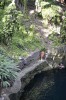 Filename=201802071725-00080-Cenote_Zaci.jpg
Filesize=381KiB
Dimensions=847x1280
Date added=Mar 30, 2021 201802071725-00080-Cenote_Zaci.jpg
