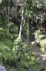Filename=201802071725-00081-Cenote_Zaci.jpg
Filesize=528KiB
Dimensions=847x1280
Date added=Mar 30, 2021 201802071725-00081-Cenote_Zaci.jpg