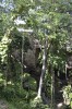 Filename=201802071725-00082-Cenote_Zaci.jpg
Filesize=505KiB
Dimensions=847x1280
Date added=Mar 30, 2021 201802071725-00082-Cenote_Zaci.jpg