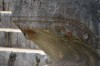 Filename=201802081056-00115-Marnie.jpg
Filesize=264KiB
Dimensions=1280x847
Date added=Mar 30, 2021 201802081056-00115-Marnie.jpg