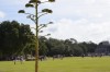 Filename=201802081119-00202-Marnie.jpg
Filesize=180KiB
Dimensions=1280x847
Date added=Mar 30, 2021 201802081119-00202-Marnie.jpg