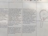 Filename=201802081123-00030-DSCN5433.jpg
Filesize=257KiB
Dimensions=1280x960
Date added=Mar 30, 2021 201802081123-00030-DSCN5433.jpg