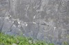Filename=201802081129-00244-Marnie.jpg
Filesize=395KiB
Dimensions=1280x847
Date added=Mar 30, 2021 201802081129-00244-Marnie.jpg
