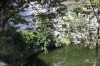 Filename=201802081200-00301-Marnie.jpg
Filesize=467KiB
Dimensions=1280x847
Date added=Mar 30, 2021 201802081200-00301-Marnie.jpg