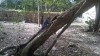 Filename=201802081204-00389-IMG.jpg
Filesize=442KiB
Dimensions=1280x720
Date added=Mar 30, 2021 201802081204-00389-IMG.jpg