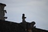 Filename=201802081217-00333-Marnie.jpg
Filesize=83KiB
Dimensions=1280x847
Date added=Mar 30, 2021 201802081217-00333-Marnie.jpg
