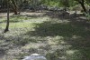 Filename=201802081342-00378-Marnie.jpg
Filesize=487KiB
Dimensions=1280x847
Date added=Mar 30, 2021 201802081342-00378-Marnie.jpg