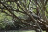 Filename=201802081343-00382-Marnie.jpg
Filesize=403KiB
Dimensions=1280x847
Date added=Mar 30, 2021 201802081343-00382-Marnie.jpg