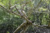 Filename=201802081344-00383-Marnie.jpg
Filesize=442KiB
Dimensions=1280x847
Date added=Mar 30, 2021 201802081344-00383-Marnie.jpg