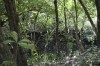 Filename=201802081353-00390-Marnie.jpg
Filesize=467KiB
Dimensions=1280x847
Date added=Mar 30, 2021 201802081353-00390-Marnie.jpg