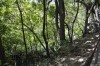 Filename=201802081353-00391-Marnie.jpg
Filesize=558KiB
Dimensions=1280x847
Date added=Mar 30, 2021 201802081353-00391-Marnie.jpg
