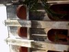 201802081635-00119-DSCN5522.jpg