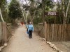 201802091131-00123-DSCN5526.jpg