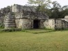 201802091148-00136-DSCN5539.jpg