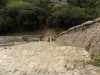 201802091151-00139-DSCN5542.jpg