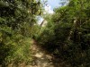 Filename=201802091213-00153-DSCN5556.jpg
Filesize=594KiB
Dimensions=1280x960
Date added=Mar 30, 2021 201802091213-00153-DSCN5556.jpg