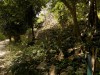 Filename=201802091217-00157-DSCN5560.jpg
Filesize=543KiB
Dimensions=1280x960
Date added=Mar 30, 2021 201802091217-00157-DSCN5560.jpg