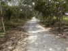 201802091308-00178-DSCN5581.jpg