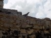 Filename=201802101222-00213-DSCN5616.jpg
Filesize=195KiB
Dimensions=1280x960
Date added=Mar 30, 2021 201802101222-00213-DSCN5616.jpg
