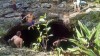 Filename=201802101631-00449-HDR.jpg
Filesize=343KiB
Dimensions=1280x720
Date added=Mar 30, 2021 201802101631-00449-HDR.jpg