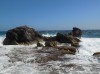 201802121424-00298-DSCN5701.jpg