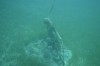 Filename=201802131357-00710-Marnie.jpg
Filesize=142KiB
Dimensions=1280x847
Date added=Mar 30, 2021 201802131357-00710-Marnie.jpg