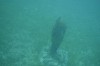 Filename=201802131357-00713-Marnie.jpg
Filesize=142KiB
Dimensions=1280x847
Date added=Mar 30, 2021 201802131357-00713-Marnie.jpg
