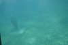 Filename=201802131358-00714-Marnie.jpg
Filesize=141KiB
Dimensions=1280x847
Date added=Mar 30, 2021 201802131358-00714-Marnie.jpg